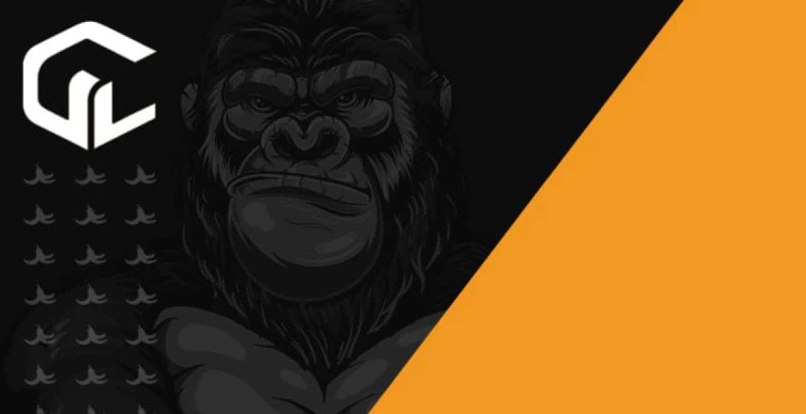 Gorilla Labs x Book Hotels with Crypto